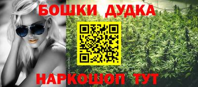 стафф Бердск
