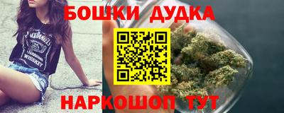 стафф Бердск