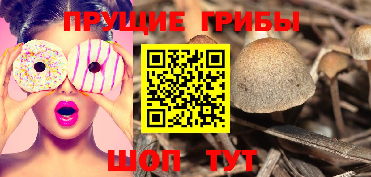 Галлюциногенные грибы Magic Shrooms  Псилоцибиновые грибы Cubensis  Вход с VPN  Белорецк 